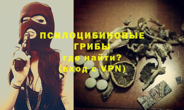 соль ск Медвежьегорск