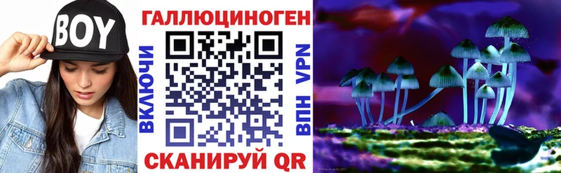 Купить где Ухта Галлюциногенные грибы Cubensis