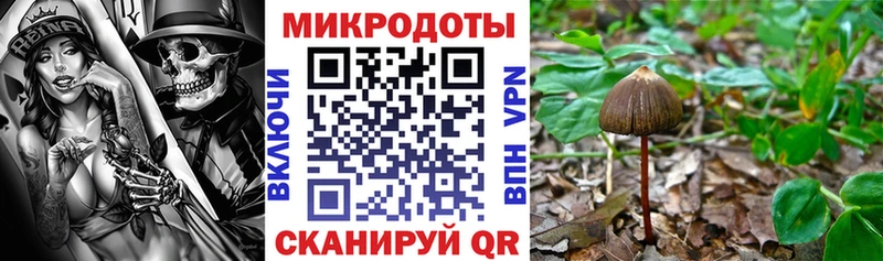 Галлюциногенные грибы прущие грибы Ухта